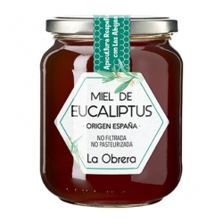 Miel de Eucalipto